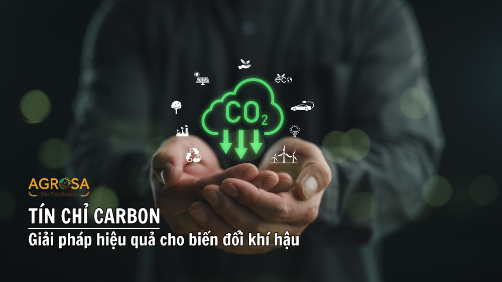 Dịch vụ tín chỉ carbon